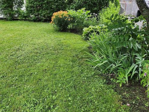 22 Macdougall, Antigonish, NS 