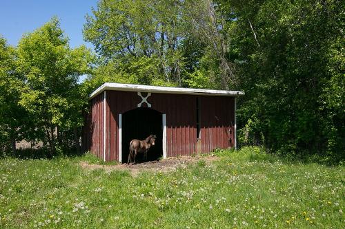 Vue d'ensemble - 2301Z Ch. Wolfe Ridge, Clarenceville, QC - Outdoor