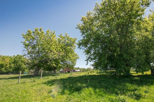 Vue d'ensemble - 2301Z Ch. Wolfe Ridge, Clarenceville, QC - Outdoor With View