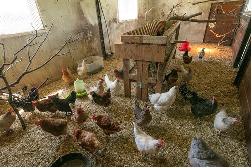 Autre - 2301Z Ch. Wolfe Ridge, Clarenceville, QC - Indoor