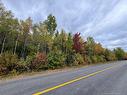 - Blueberry Lane, Codys, NB 