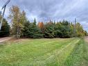 - Blueberry Lane, Codys, NB 