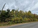 - Blueberry Lane, Codys, NB 