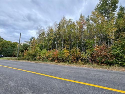 - Blueberry Lane, Codys, NB 
