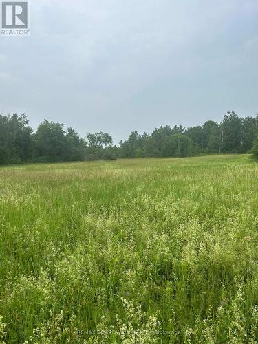 18999 Concession Road, North Glengarry, ON 