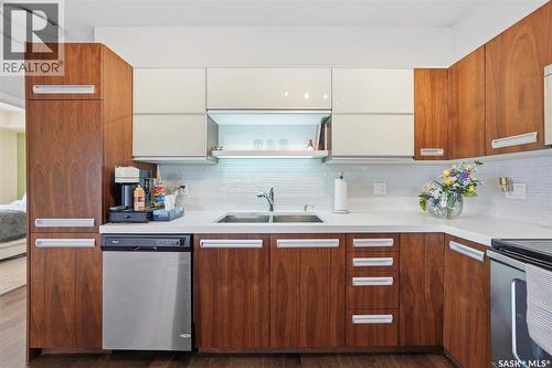 103 1120 Hampton Circle, Saskatoon, SK - Indoor Photo Showing Kitchen With Double Sink