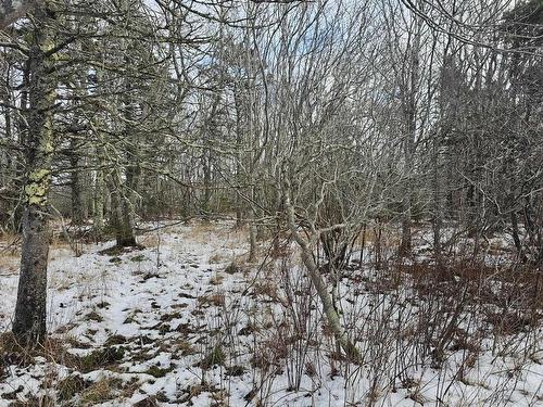 Highway 1, Lower Saulnierville, NS 