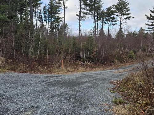 Lot P-1 Baker Road, Mount Pleasant, NS 