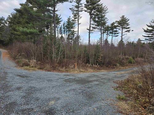 Lot P-1 Baker Road, Mount Pleasant, NS 