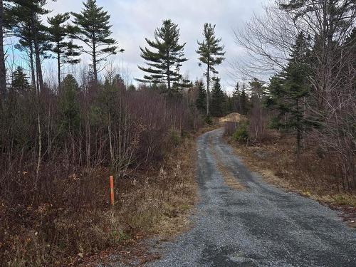 Lot P-1 Baker Road, Mount Pleasant, NS 