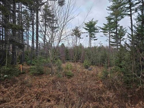 Lot P-1 Baker Road, Mount Pleasant, NS 