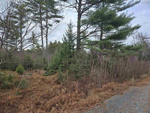 Lot P-1 Baker Road, Mount Pleasant, NS 