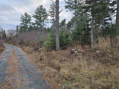 Lot P-1 Baker Road, Mount Pleasant, NS 