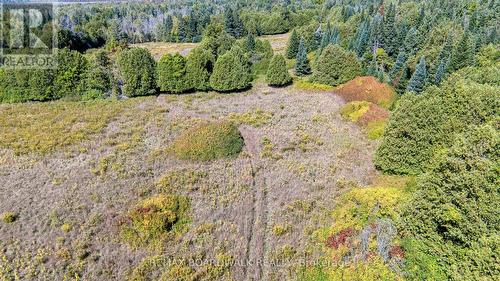 Lot 87 Paul'S Road, Drummond/North Elmsley, ON - Outdoor With View