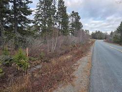 Lot P-2 Mount Pleasant Road  Mount Pleasant, NS B0R 1G0