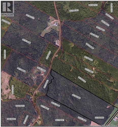 76 Hill Road, Kingston, NB 