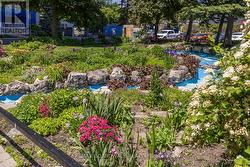 Garden in the summer time - 