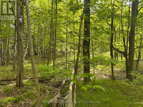 00 Ebbs Bay Road, Drummond/North Elmsley, ON 