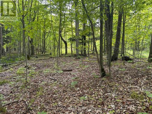 00 Ebbs Bay Road, Drummond/North Elmsley, ON 