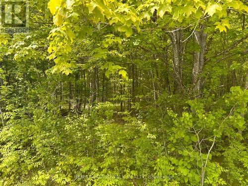 00 Ebbs Bay Road, Drummond/North Elmsley, ON 