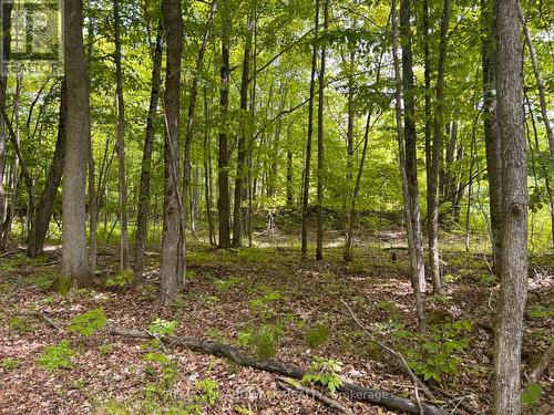 00 Ebbs Bay Road, Drummond/North Elmsley, ON 