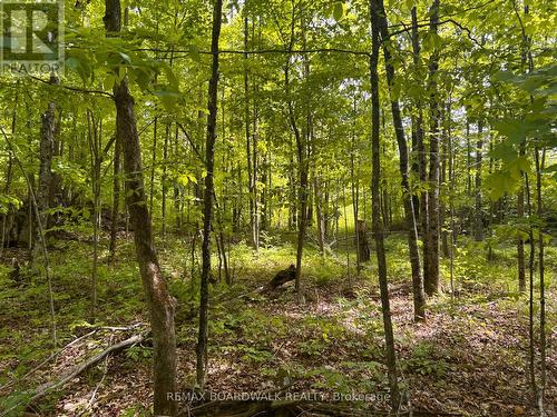 00 Ebbs Bay Road, Drummond/North Elmsley, ON 