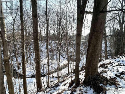 South facing backyard with ravine views - 17 Glen Robert Drive, Toronto, ON - Outdoor With View