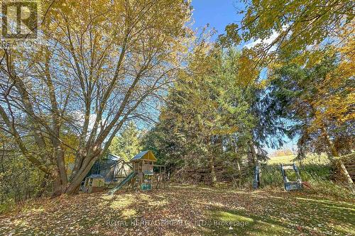 31 Ambleside Drive, Scugog, ON - Outdoor