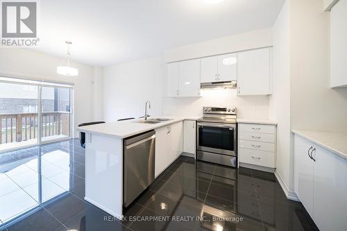 9 Tarrison Street, Brantford, ON - Indoor Photo Showing Kitchen With Stainless Steel Kitchen With Double Sink With Upgraded Kitchen