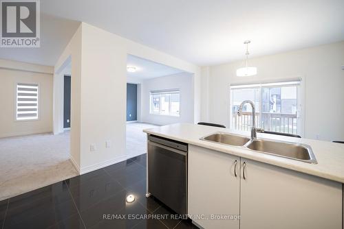 9 Tarrison Street, Brantford, ON - Indoor Photo Showing Kitchen With Double Sink