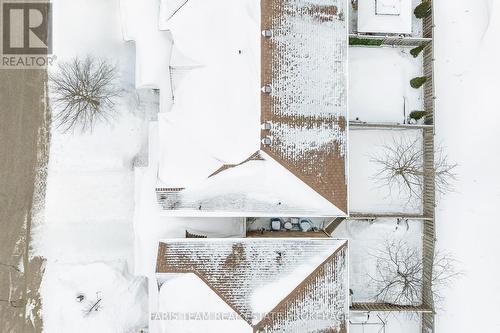 37 Southwoods Crescent, Barrie, ON - Outdoor