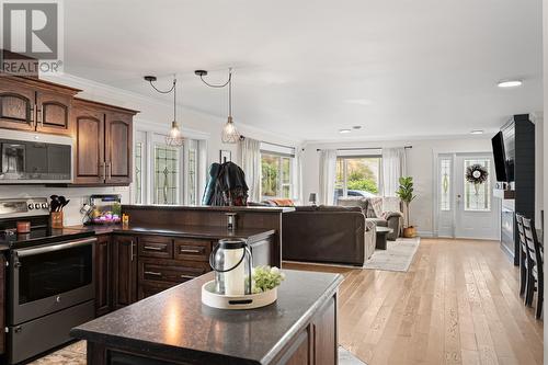 203 Marine Drive, Marystown, NL - Indoor Photo Showing Kitchen With Upgraded Kitchen