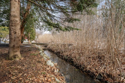 Terre/Terrain - 2049 Rue Pierre-Hamel, Magog, QC - Outdoor With View