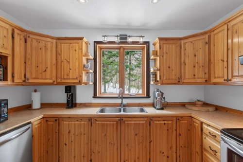 Cuisine - 21 Ch. Paul-Grégoire, La Minerve, QC - Indoor Photo Showing Kitchen With Double Sink