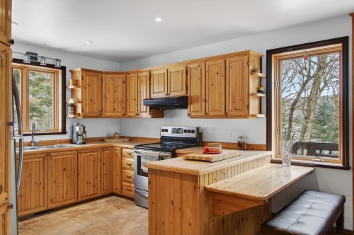 Cuisine - 21 Ch. Paul-Grégoire, La Minerve, QC - Indoor Photo Showing Kitchen With Double Sink