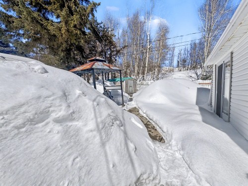 Cour - 53 Rue Gendron, Rouyn-Noranda, QC - Outdoor