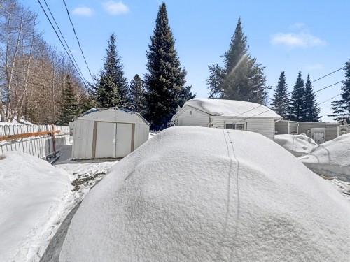 Cour - 53 Rue Gendron, Rouyn-Noranda, QC - Outdoor