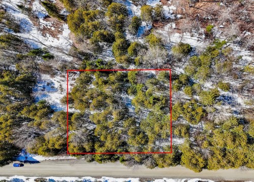 Vue d'ensemble - Av. Allen, Stukely-Sud, QC 