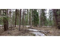 LOT B BRYCE ROAD Forest Grove, BC V0K 1M0
