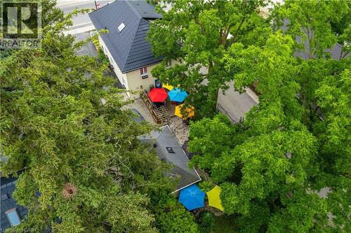 Beautiful foliage to add to the ambiance. - 99 Argyle Street N, Caledonia, ON - Outdoor