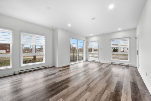 Salon - 101-965 Rue Brébeuf, Sainte-Catherine, QC - Indoor Photo Showing Living Room