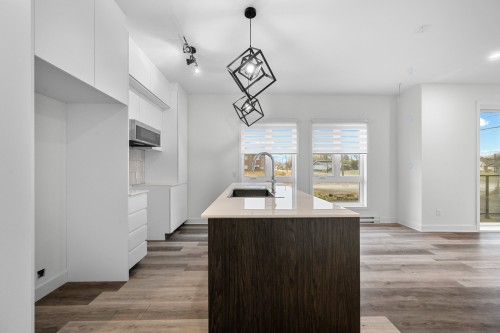 Cuisine - 101-965 Rue Brébeuf, Sainte-Catherine, QC - Indoor Photo Showing Kitchen