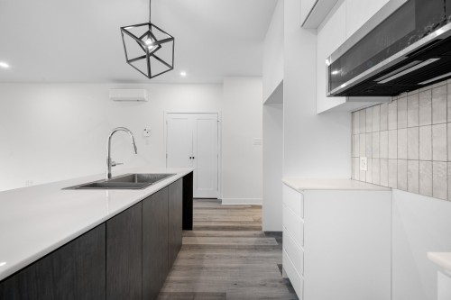 Cuisine - 101-965 Rue Brébeuf, Sainte-Catherine, QC - Indoor Photo Showing Kitchen With Double Sink