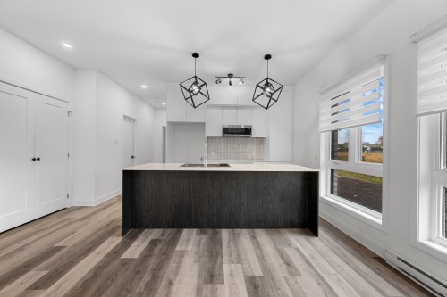 Cuisine - 101-965 Rue Brébeuf, Sainte-Catherine, QC - Indoor Photo Showing Kitchen