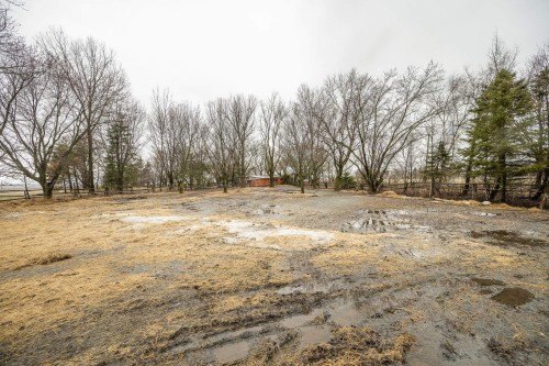 Terre/Terrain - 72 9E Rang, Sainte-Brigide-D'Iberville, QC - Outdoor With View