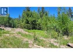 901 SPRUCE PLACE 100 Mile House, BC V0K 2E0