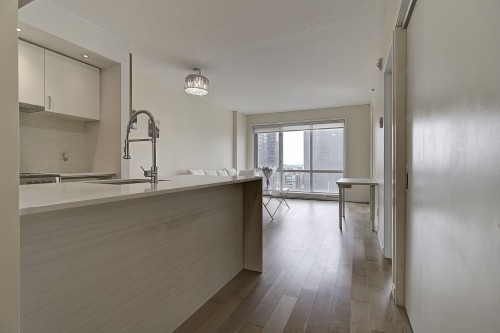 Other - 1406-2117 Rue Tupper, Montréal (Ville-Marie), QC - Indoor Photo Showing Kitchen