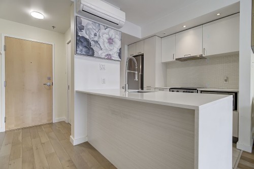 Other - 1406-2117 Rue Tupper, Montréal (Ville-Marie), QC - Indoor Photo Showing Kitchen