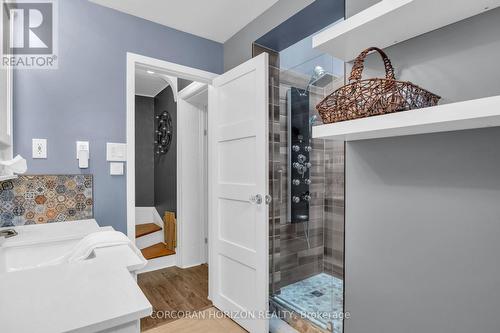 296 Weber Street E, Kitchener, ON - Indoor Photo Showing Bathroom