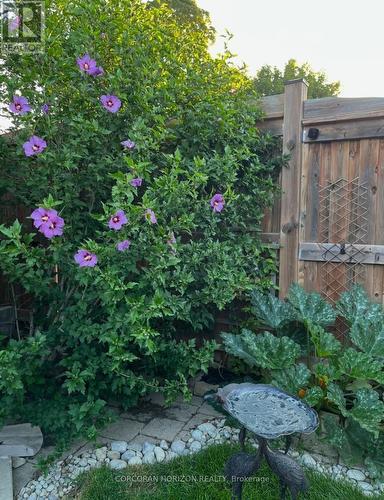 296 Weber Street E, Kitchener, ON - Outdoor